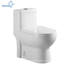 Aquacubic High Quality Washdown One-piece White Sanitary Ware Toilet Bowl